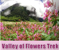Valley of flowers